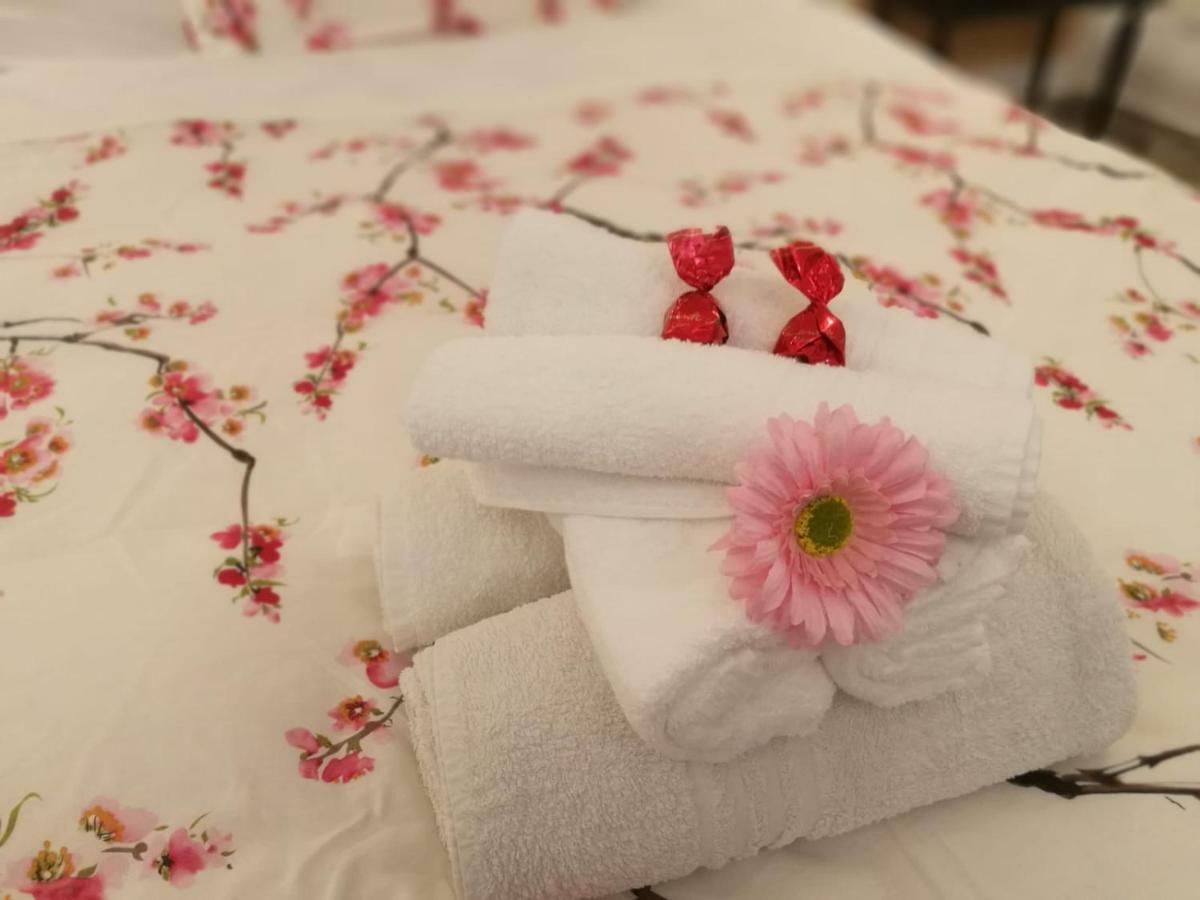 Dimora Modestina Apartment Syracuse Ngoại thất bức ảnh