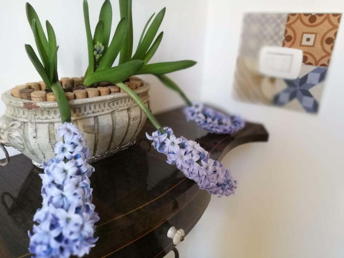 Dimora Modestina Apartment Syracuse Ngoại thất bức ảnh